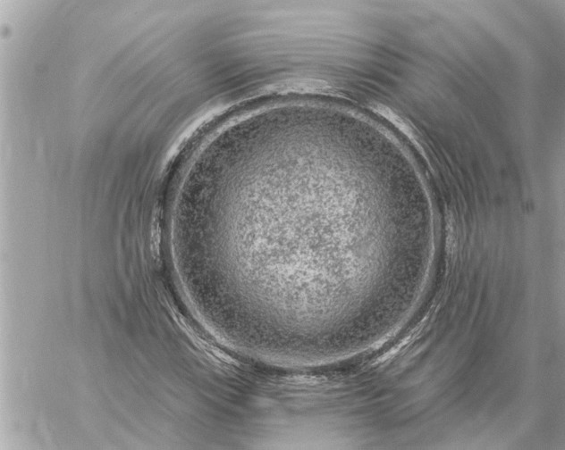 X0000059101115200510172113