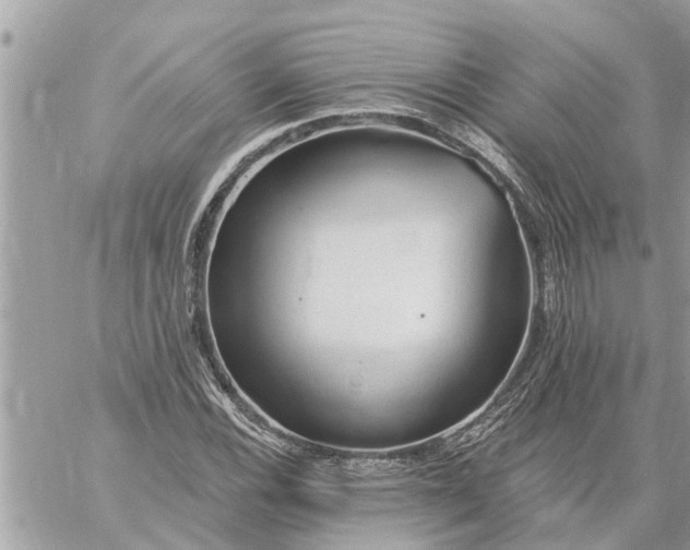 X0000059101116200510172113