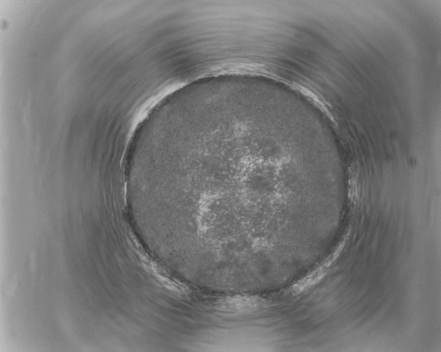 X0000059101117200510172113