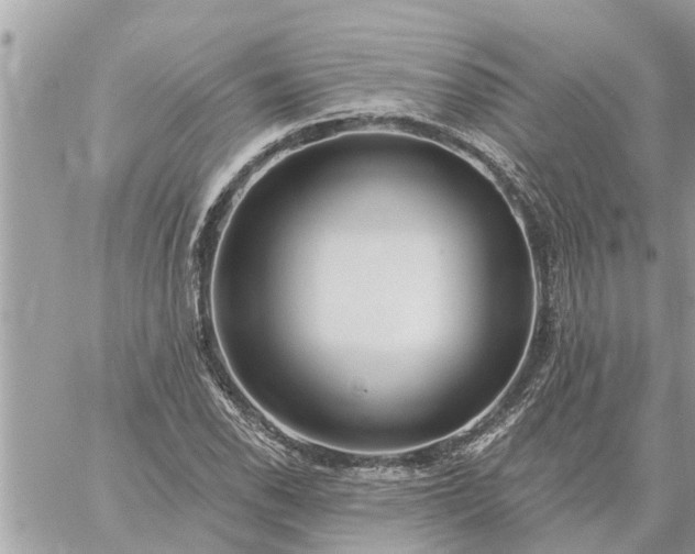 X0000059101118200510172113