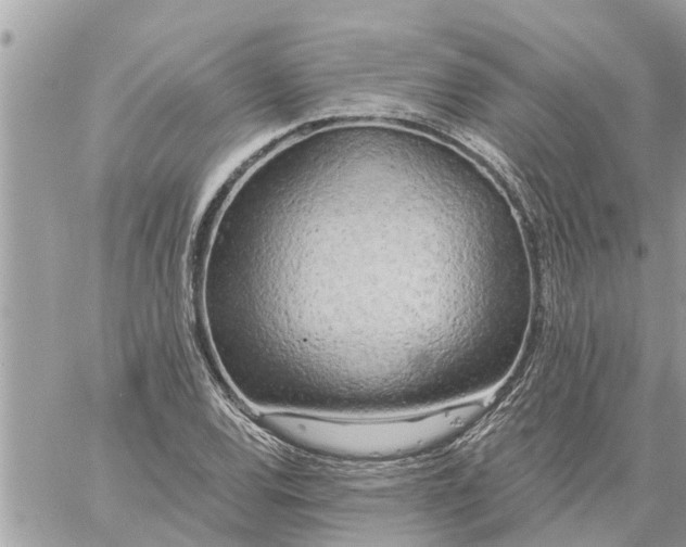 X0000059101120200510172113