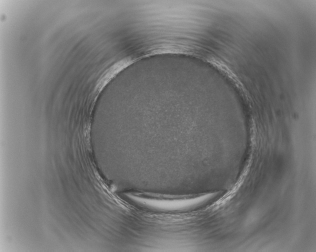 X0000059101121200510172113