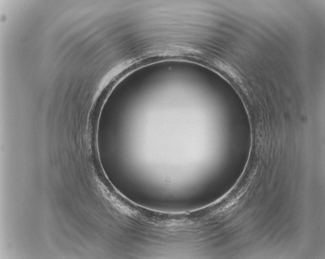 X0000059101122200510172113