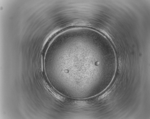 X0000059101123200510172113