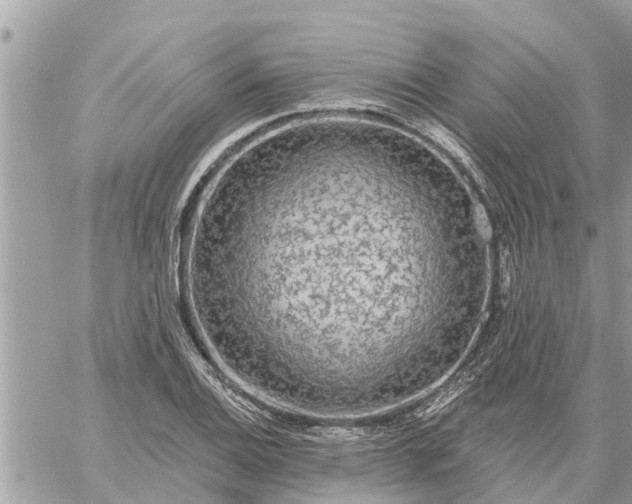 X0000059101124200510172113