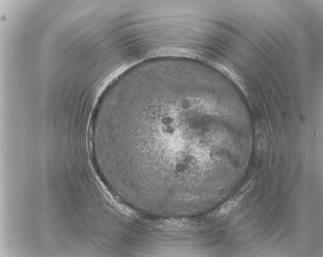 X0000059101125200510172113