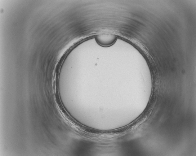 X0000059101126200510172113