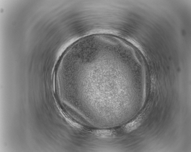 X0000059101127200510172113