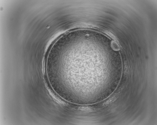 X0000059101128200510172113