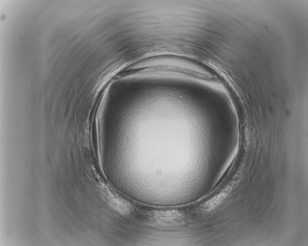 X0000059101129200510172113