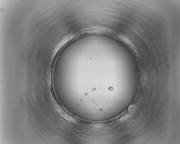 X0000059101130200510172113