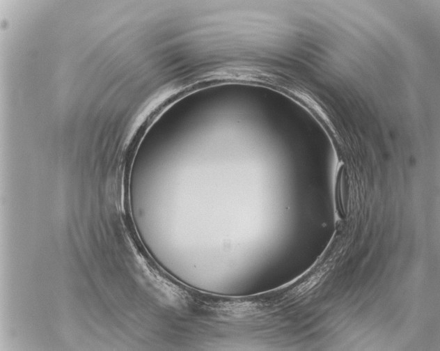 X0000059101131200510172113