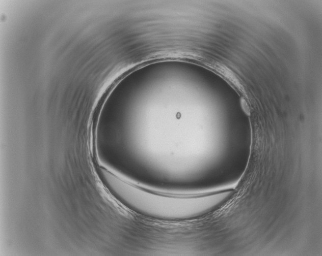 X0000059101132200510172113