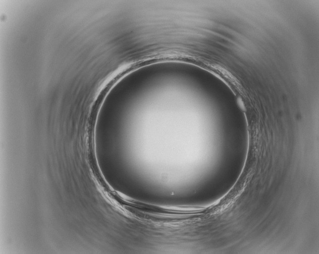 X0000059101134200510172113