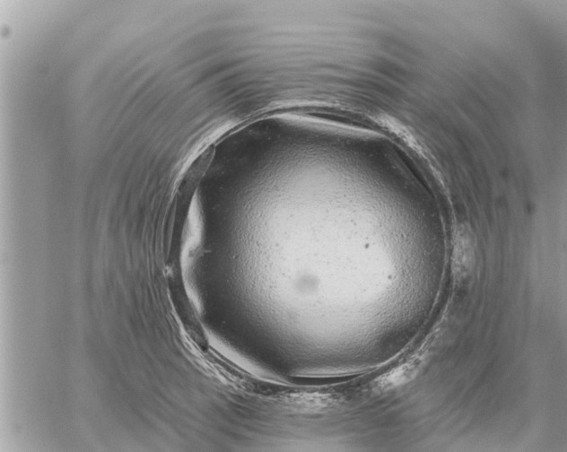 X0000059101137200510172113