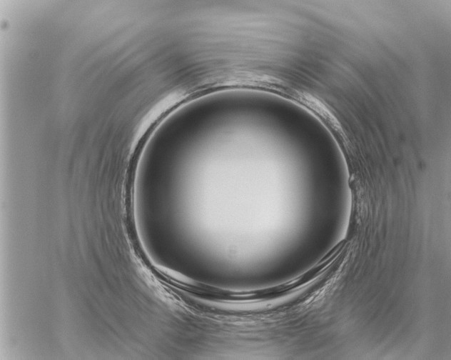 X0000059101138200510172113