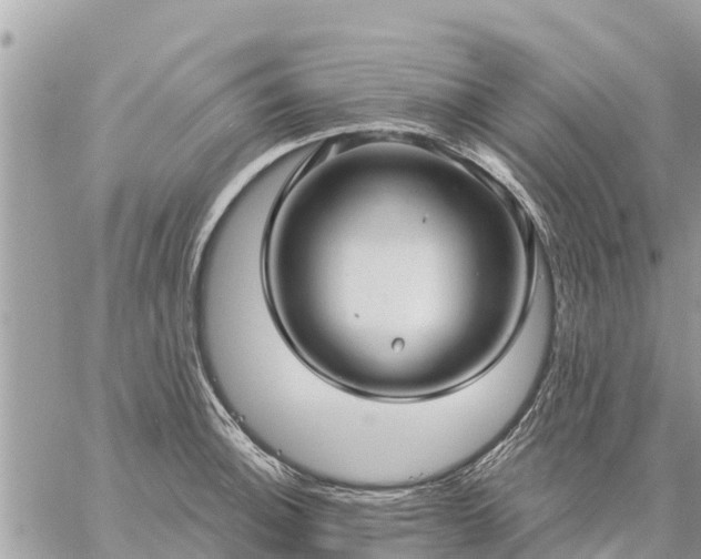 X0000059101140200510172113