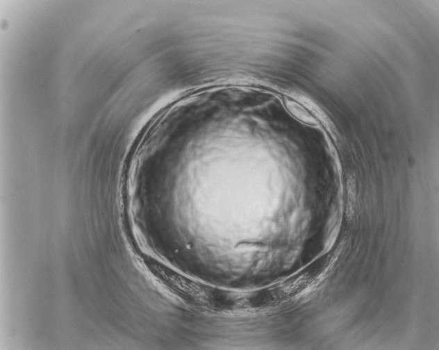 X0000059101142200510172113