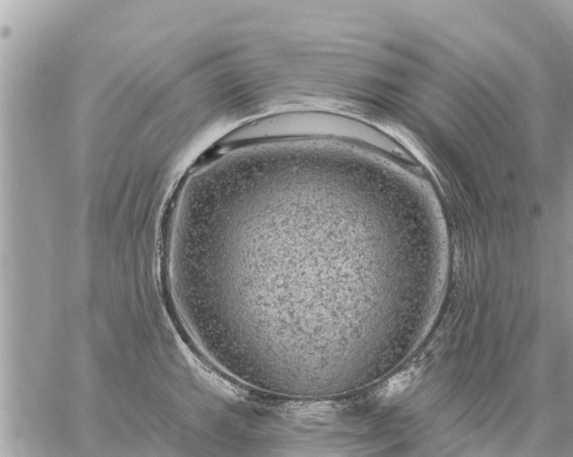 X0000059101143200510172113