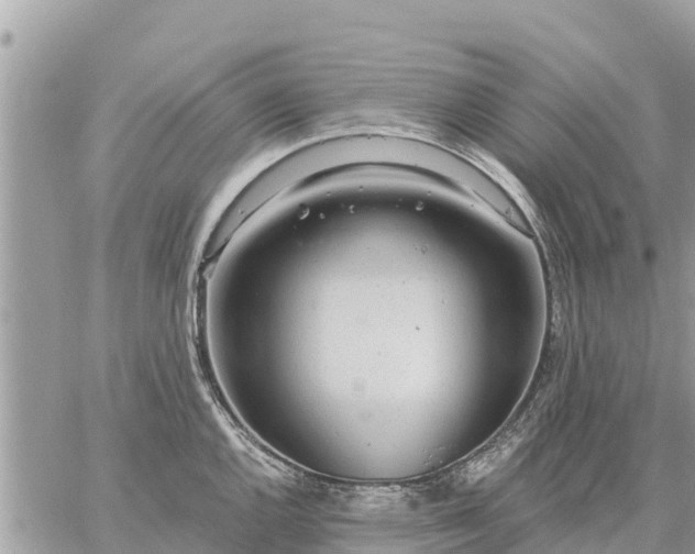 X0000059101144200510172113