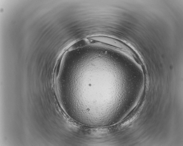 X0000059101145200510172113