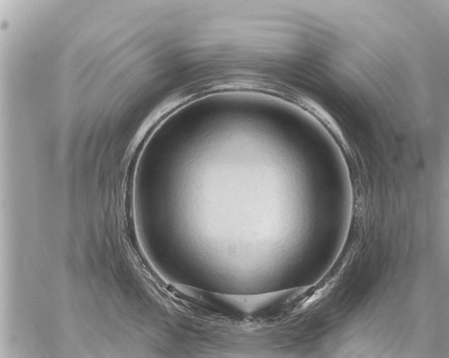 X0000059101146200510172113