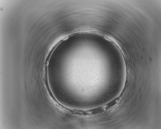 X0000059101147200510172113