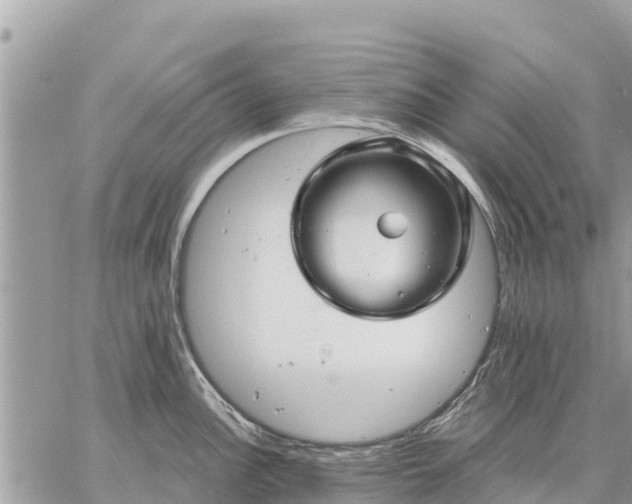 X0000059101148200510172113