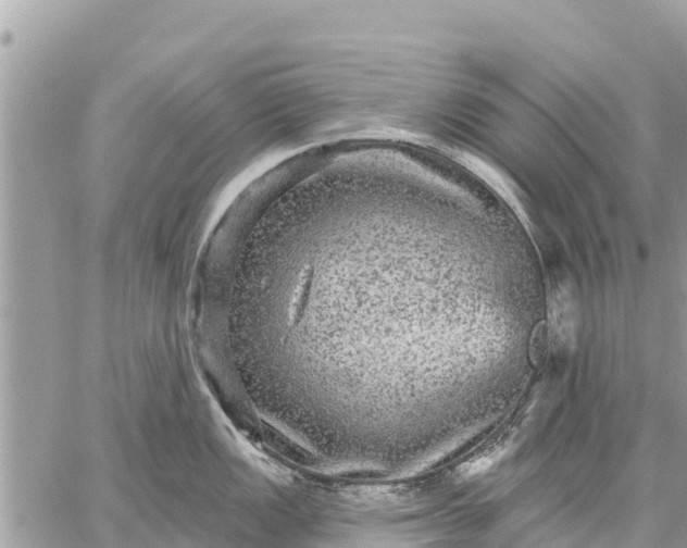 X0000059101149200510172113