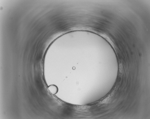 X0000059101150200510172113