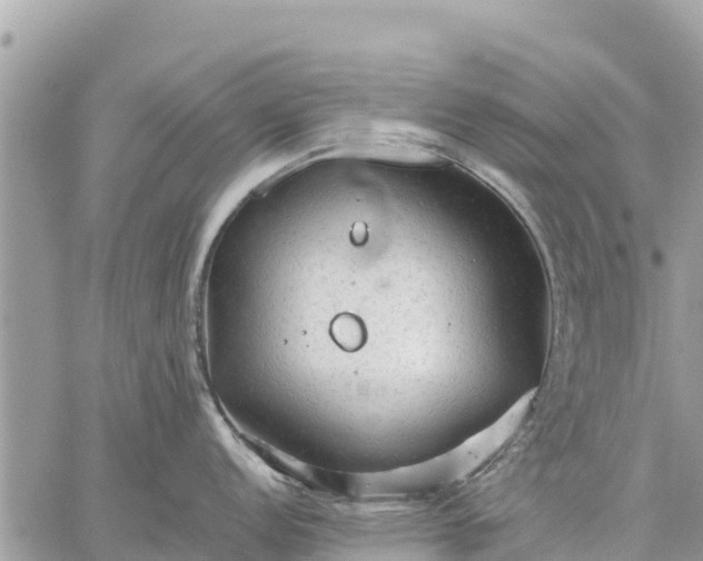 X0000059101152200510172113