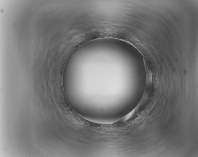 X0000059101153200510172113