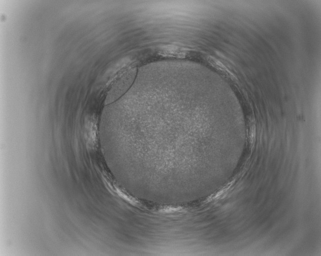 X0000059101154200510172113