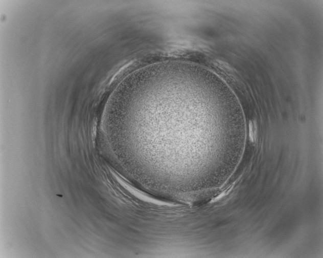 X0000059101155200510172113