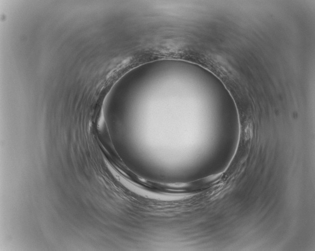 X0000059101156200510172113