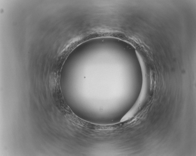 X0000059101157200510172112