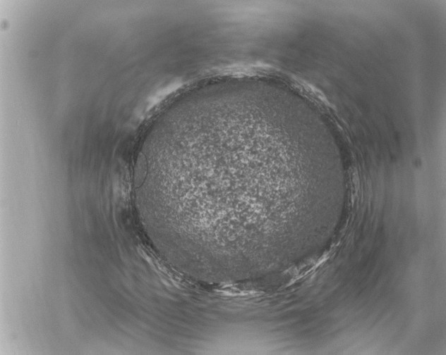 X0000059101158200510172112