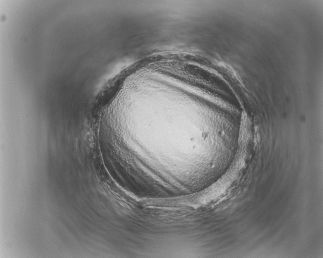 X0000059101159200510172112