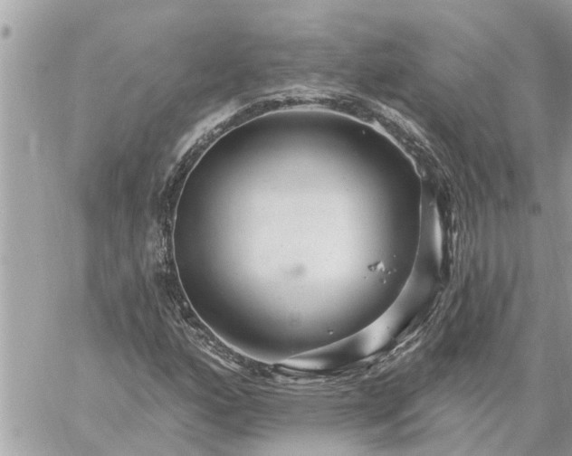 X0000059101160200510172112