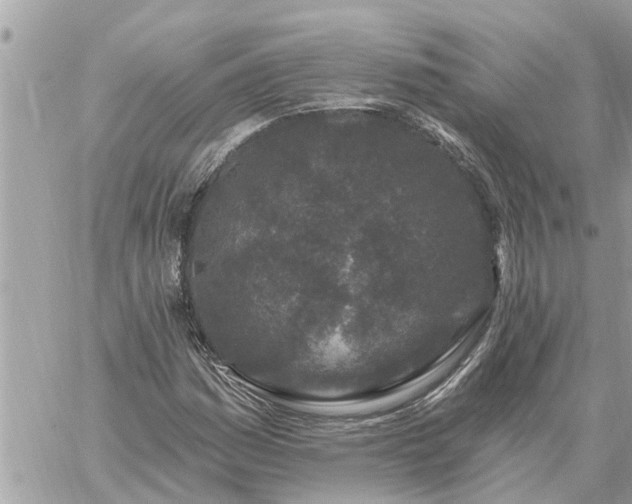 X0000059101161200510172112