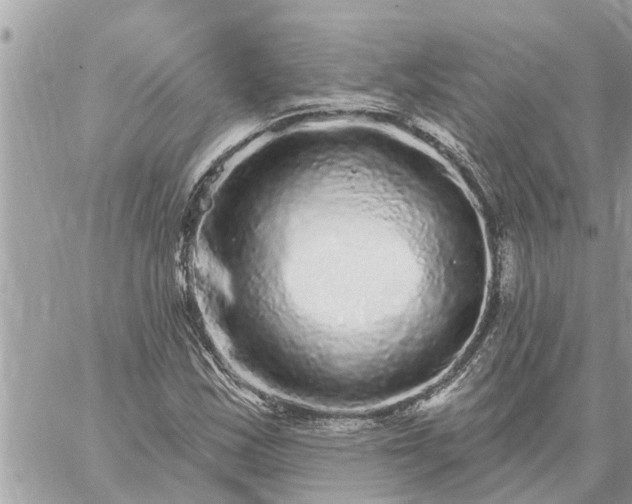 X0000059101163200510172112