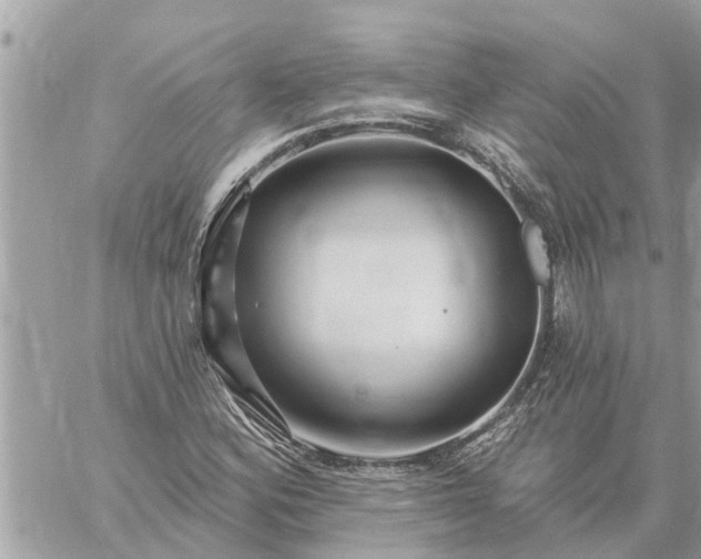 X0000059101164200510172112