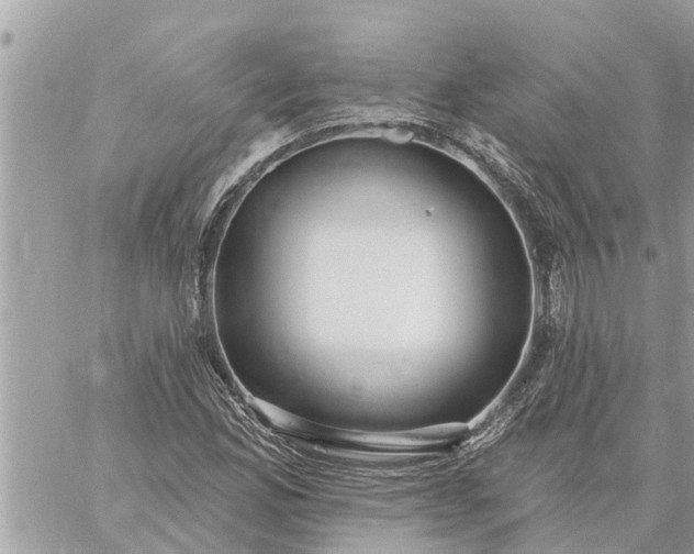 X0000059101165200510172112