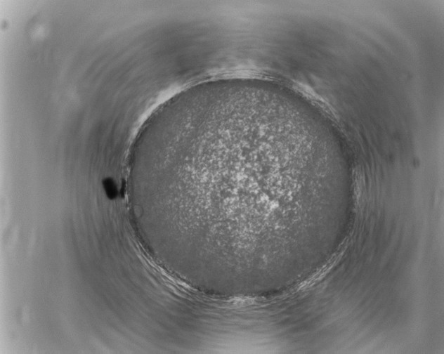 X0000059101166200510172112