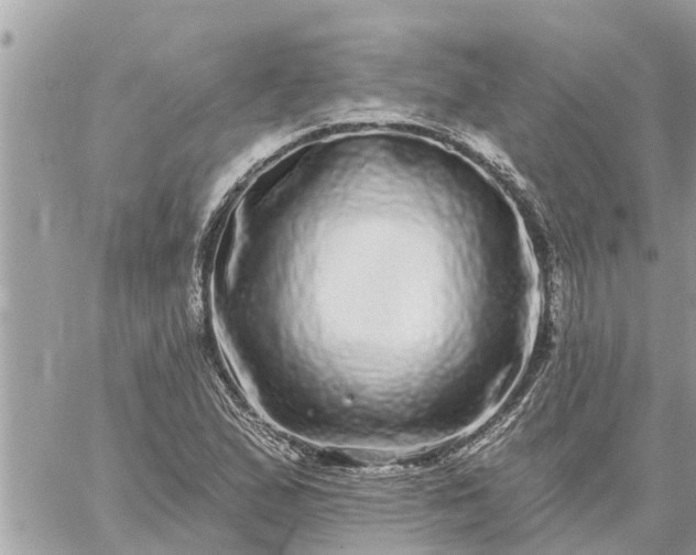 X0000059101167200510172112