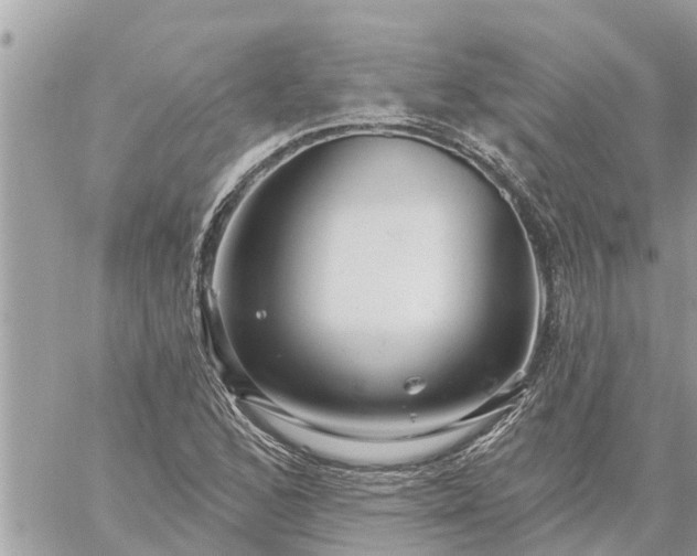 X0000059101168200510172112