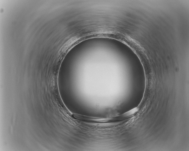 X0000059101169200510172112