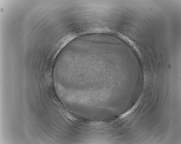 X0000059101170200510172112