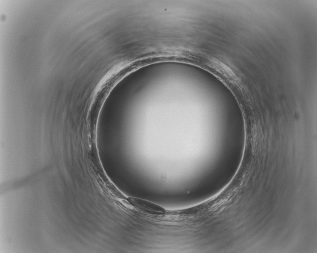 X0000059101172200510172112