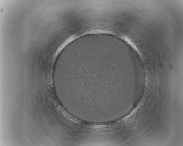 X0000059101173200510172112